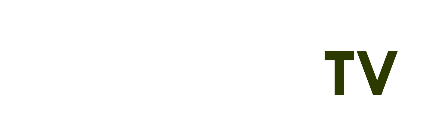 Https phwin commtaya777.co - Ph635